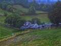 Toxibo Morning Mist
