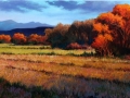 Autumn at Culebra Creek