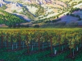 Lizzy's Vineyard