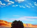 Lone Tree Canyon