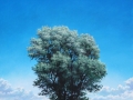Pleasure Sky at Hive Tree