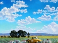 Rio Grande Bee Keeper
