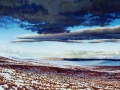 Winter Northern Landscape